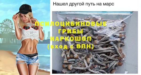 соль ск Пролетарск