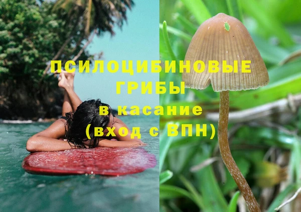 соль ск Пролетарск