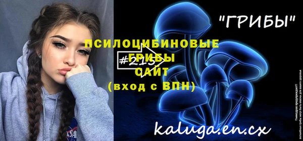 гашик Белоозёрский