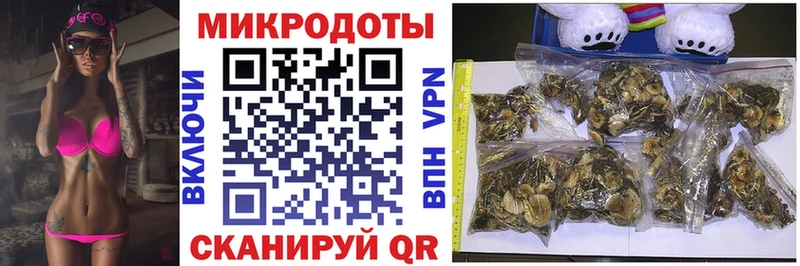 Галлюциногенные грибы Psilocybe  сколько стоит  Белоусово 